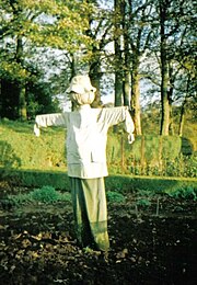 The Scarecrow in the kitchen garden at the farmhouse Scarecrow2.jpg