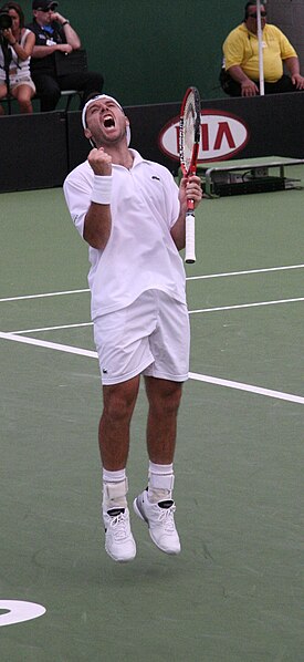 File:Sebastien Grosjean 2007 Australian Open R2.jpg