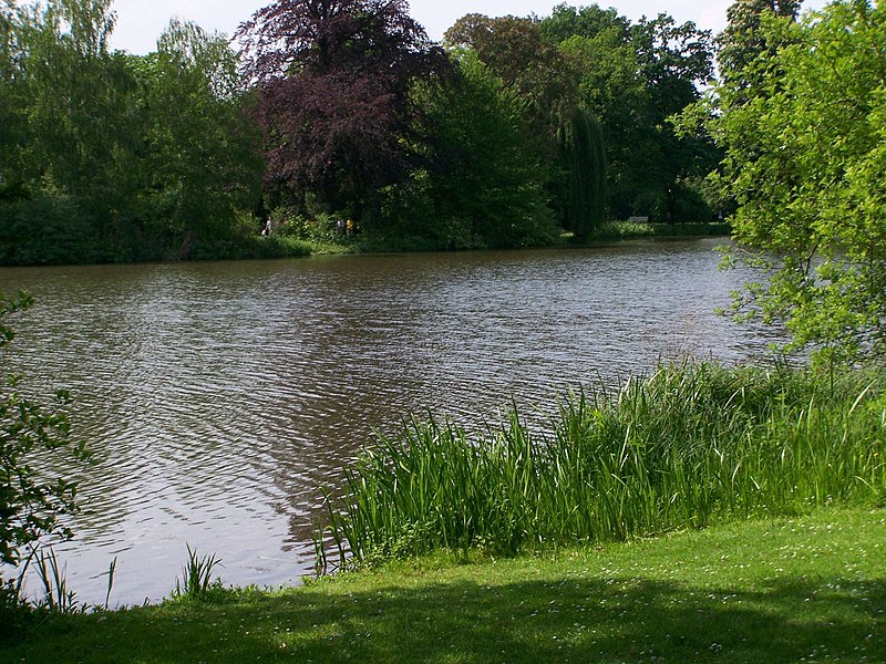 File:See im Schlosspark - panoramio.jpg