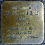 Gerhard Julius Hamm