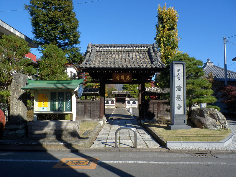 File:Seiganji (Utsunomiya) 2013-11-22.JPG