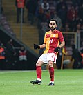 Selçuk İnan için küçük resim