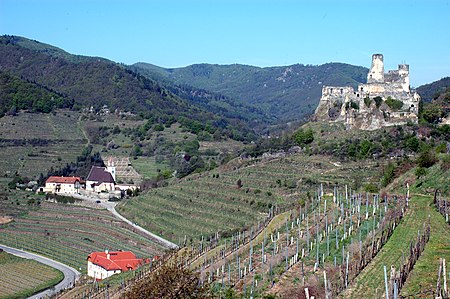 Senftenberg Kirche Ruine