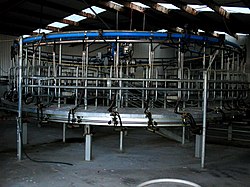 Mechanical sheep's milker, South Island, New Zealand Sheep milker.JPG