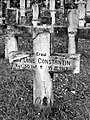 * Nomination Romanian military cemetery from World War I in Sinaia --Pudelek 00:41, 17 December 2009 (UTC) * Promotion The background gives the image depth. No important colour information in this image so it's good to choose b/w. --Ikiwaner 17:19, 22 December 2009 (UTC)