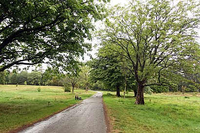 How to get to Singleton Park with public transport- About the place