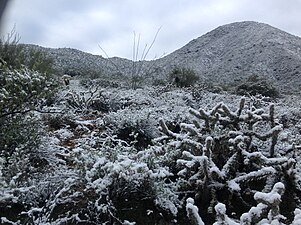 Snow falls about once every other year on the McDowell Mountains.