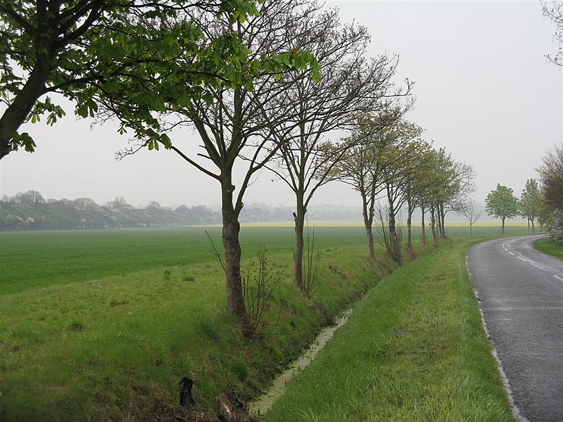File:Southill Road - geograph.org.uk - 1834208.jpg