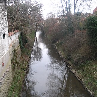 Speyerbach in the local area of ​​Speyer