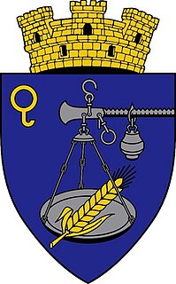 <span class="mw-page-title-main">Coat of arms of Cimișlia</span> Municipal coat of arms of Cimișlia, Moldova