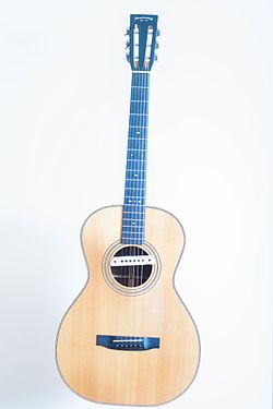 Stonebridge Acoustic Guitar.jpg