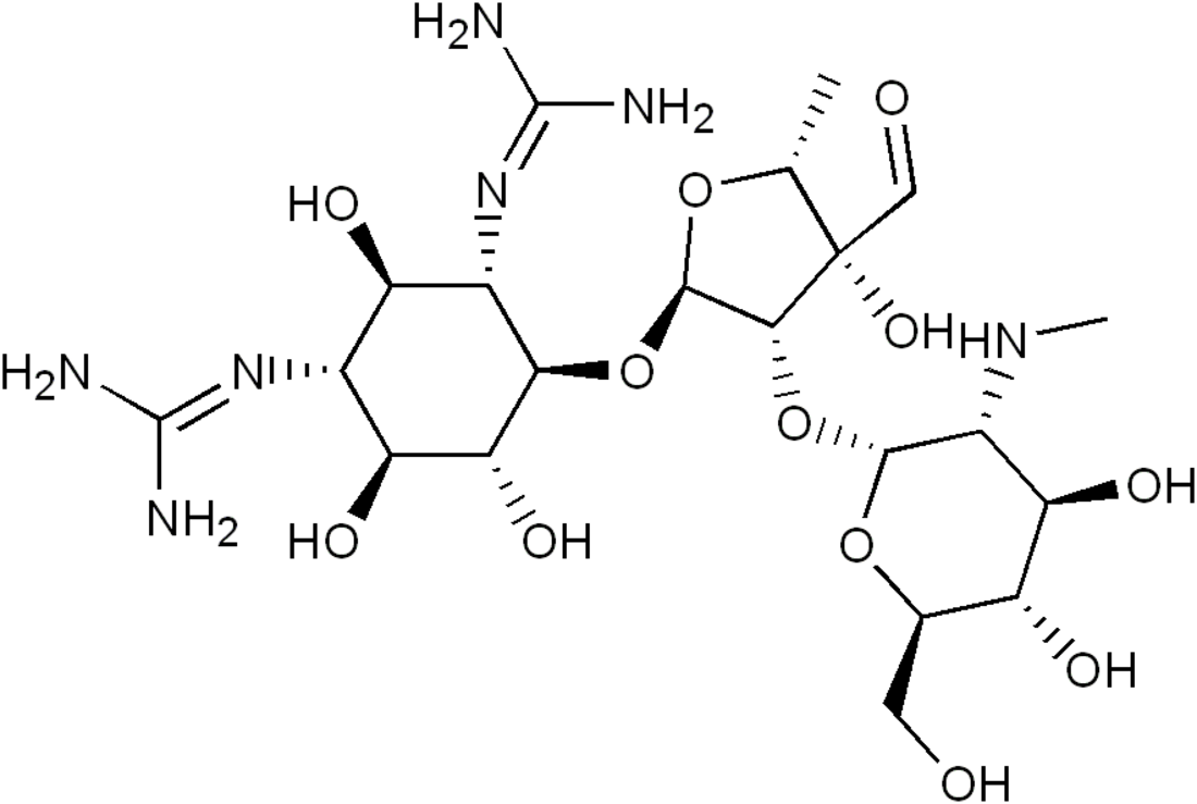 Aminoglykosidit