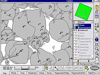 Forest structure measurement is needed for establishment of allometric equations. Structureforet.jpg