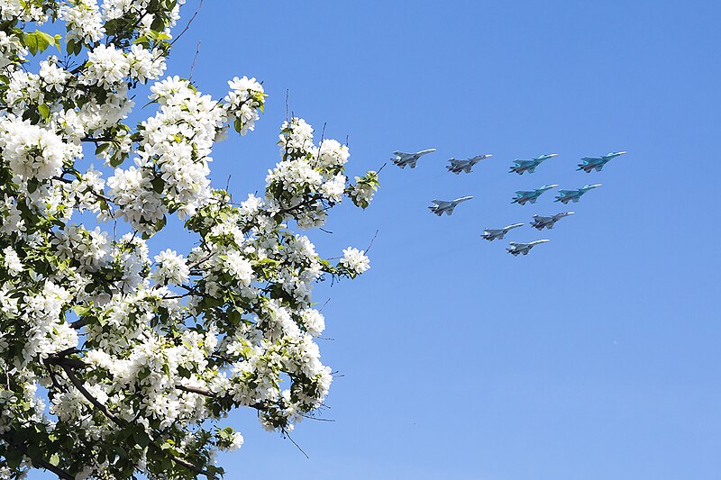 File:Sukhoi Su-27, Su-34 and MiG-29 - 2016 Moscow Victory Day Parade.jpg