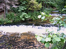 Der Fluss Tanew im Naturschutzgebiet