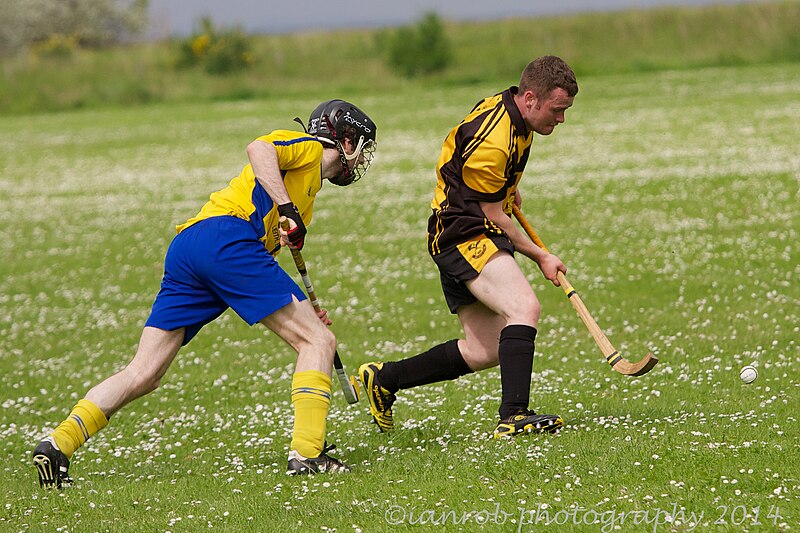 File:Tayforth vs Col Glen 2431 (14451535452).jpg