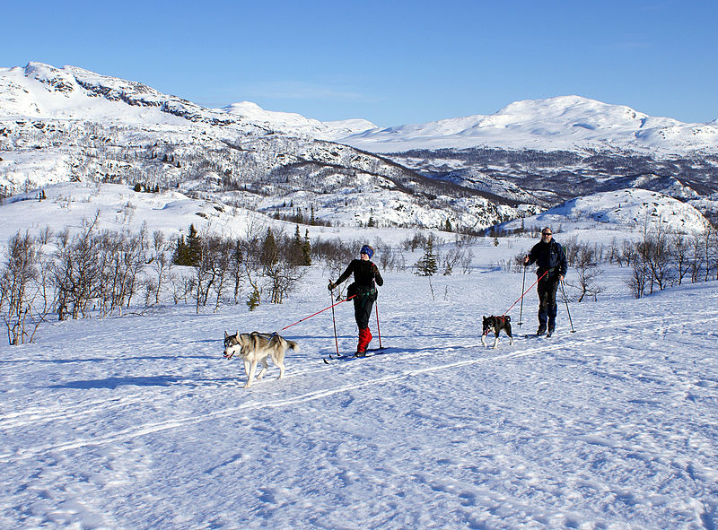 File:Telemark at its best? (2302014461).jpg