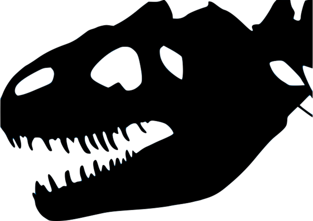 File Teschio Di Allosaurus Stilizzato Png Wikipedia