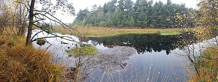 Teufelssee Sanitz