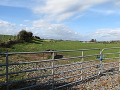 The former track bed of the Downpatrick, Killough and Ardglass Railway west of Ballynoe Road - geograph.org.uk - 4200139.jpg