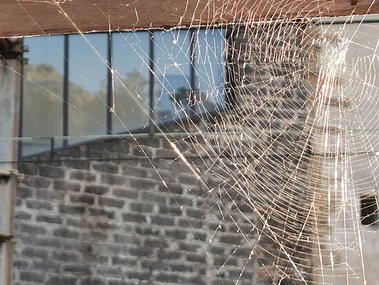 ...the spider's corner of the parking garage