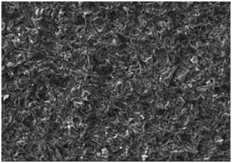 Silicon carbide grit blast on a commercially pure titanium sample - 500X magnification. Titanium Surface Post Grit Blast.png
