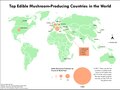 Top Edible Mushroom-Producing Countries in the World.pdf
