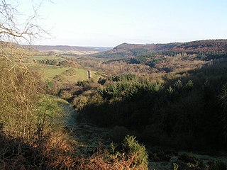 <span class="mw-page-title-main">Broxa-cum-Troutsdale</span> Civil parish in North Yorkshire, England