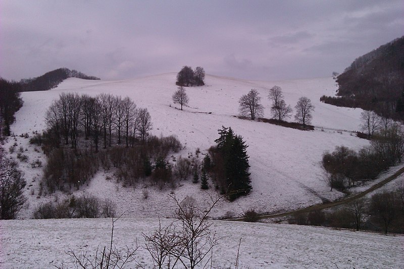 File:Tužina, Slovakia - panoramio (9).jpg