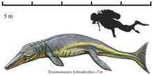 Restoration Tyrannoneustes.png