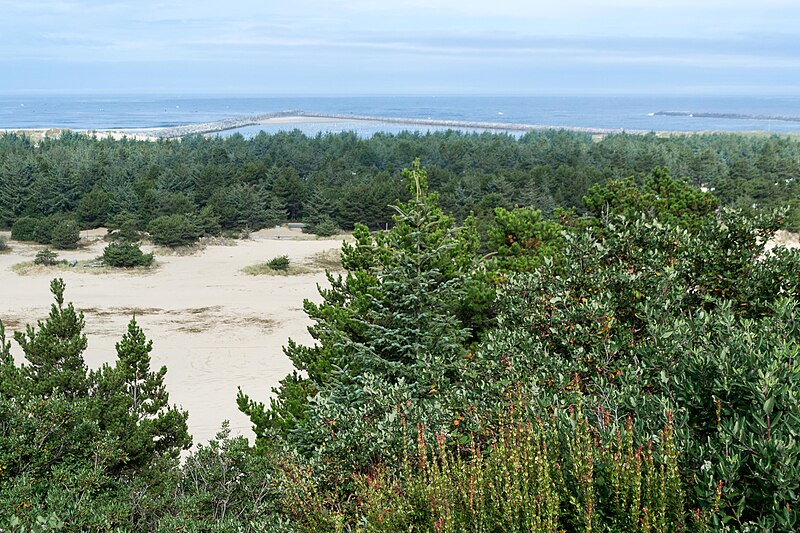 File:Umpqua River Whale Watching Station.jpg