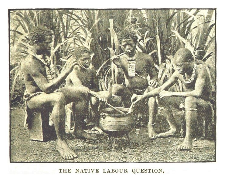 File:VRp53 THE NATIVE LABOUR QUESTION.jpg