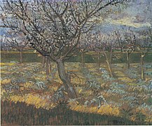 Van Gogh - Blühender Obstgarten mit Aprikosenbäumen1.jpeg