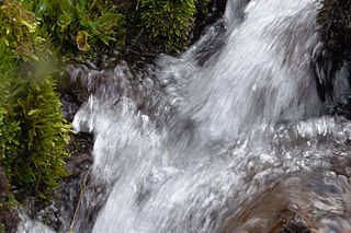 <span class="mw-page-title-main">Mineral water</span> Drinking water from a mineral spring