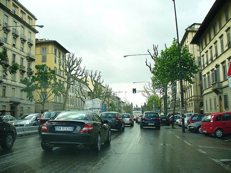 File:Viale Giacomo Matteotti 455.JPG