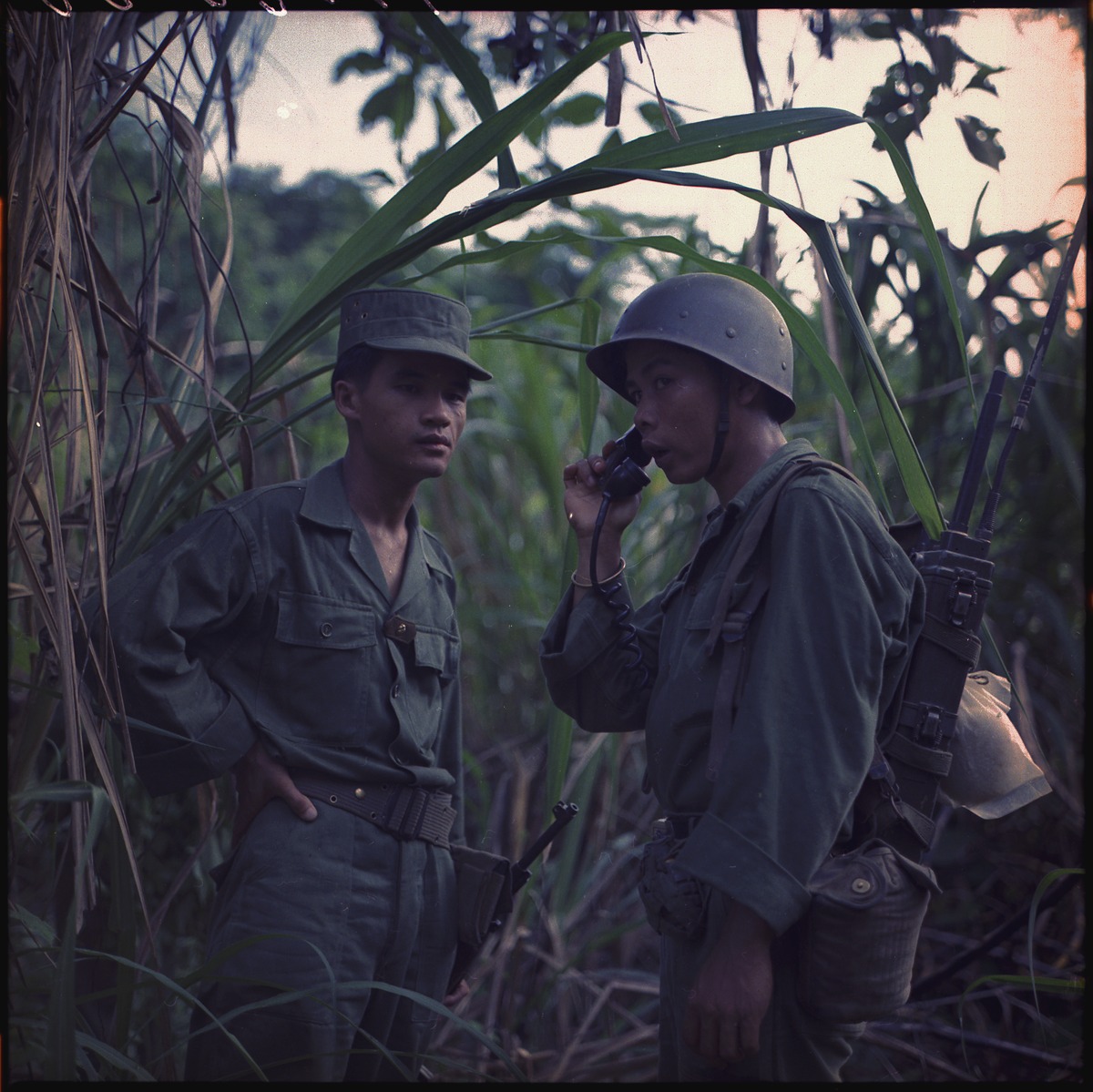 Jungle warfare - Wikipedia