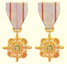 Vietnam Teknik Servis Medal.png