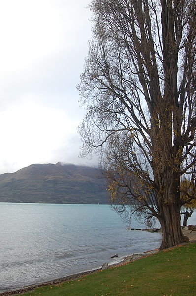 File:View of Lake Wakatipu From Queenstown Bay (4691911343).jpg