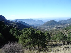 Puerto del Boyar