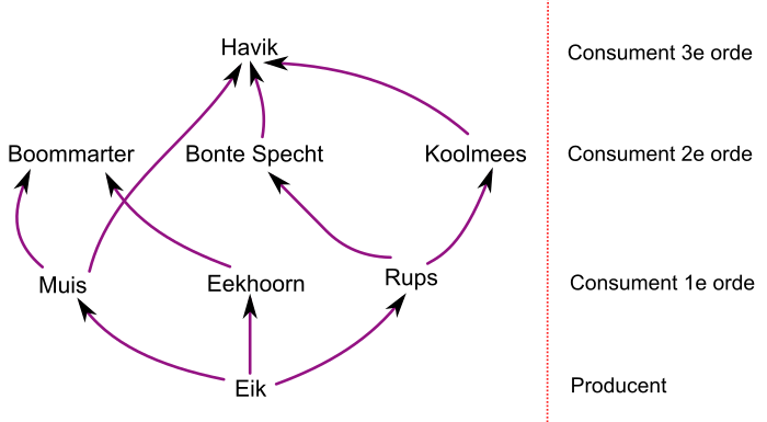 Chain diagram