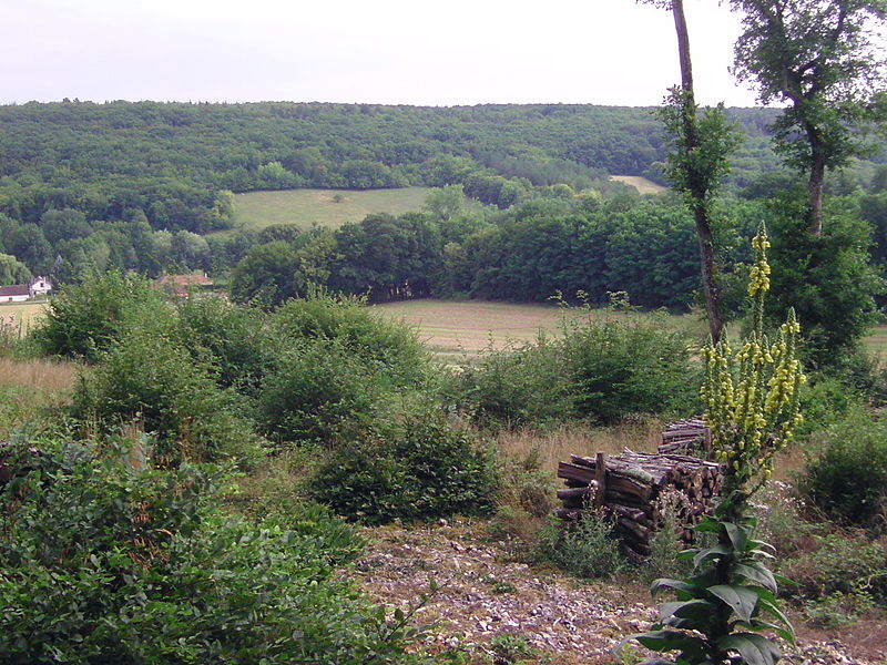 File:Vue sur laVallée Dieu à Saint-Julien-du-Sault (Yonne) France.JPG