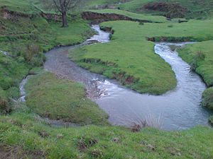 River Ecosystem