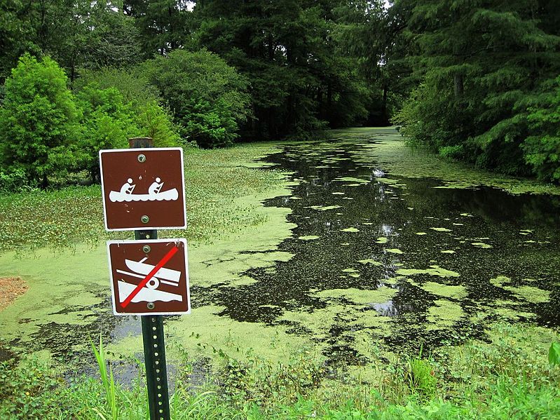 File:Wapanocca National Wildlife Refuge Turrell AR 2013-08-03 008.jpg