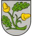 Ramo di quercia di verde, ghiandifero d'oro di due pezzi (Großniedesheim, Germania)