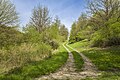 * Предлог Track on a hill in "Hausener Talhänge" ("Slopes of Hausen valley") nature reserve --Plozessor 04:11, 2 May 2024 (UTC) * Поддршка  Support Good quality.--Agnes Monkelbaan 04:23, 2 May 2024 (UTC)