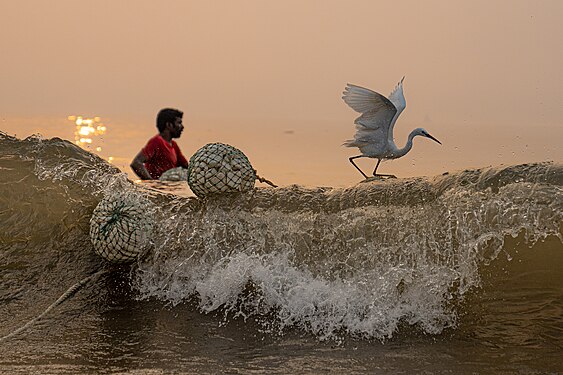 This was shot in Kakinada Beach, shows struggle of fishermen in middle of sea