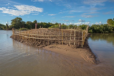 Wooden fence around a tiny cultivated island near Don Loppadi (Si Phan Don - 4000 islands, Laos), with a couple working, at golden hour.