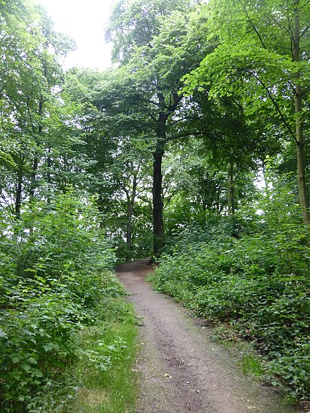 File:Wuppertal Nordpark 2014 124.JPG