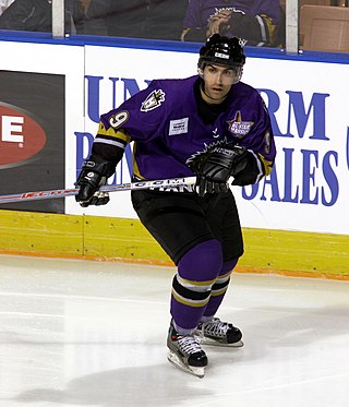 <span class="mw-page-title-main">Yanick Lehoux</span> Canadian ice hockey player