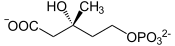 (R) -5-Phosphomevalonat.svg